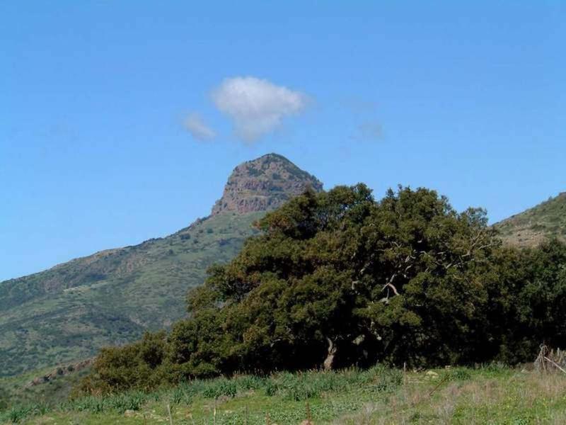 Turismo Rurale La Miniera Fiorita Arbus Luaran gambar